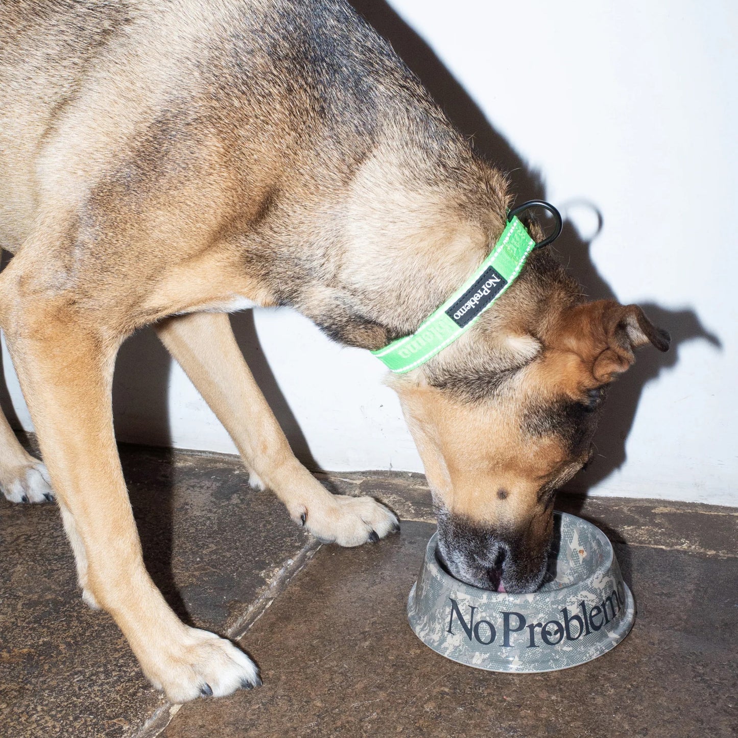 No Problemo Pet Bowl - Camo