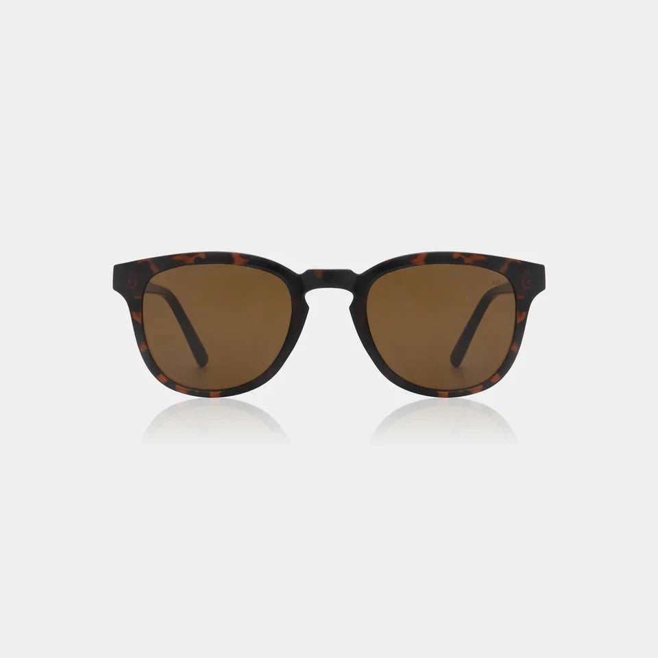 Bate Sunglasses - Demi Tortoise