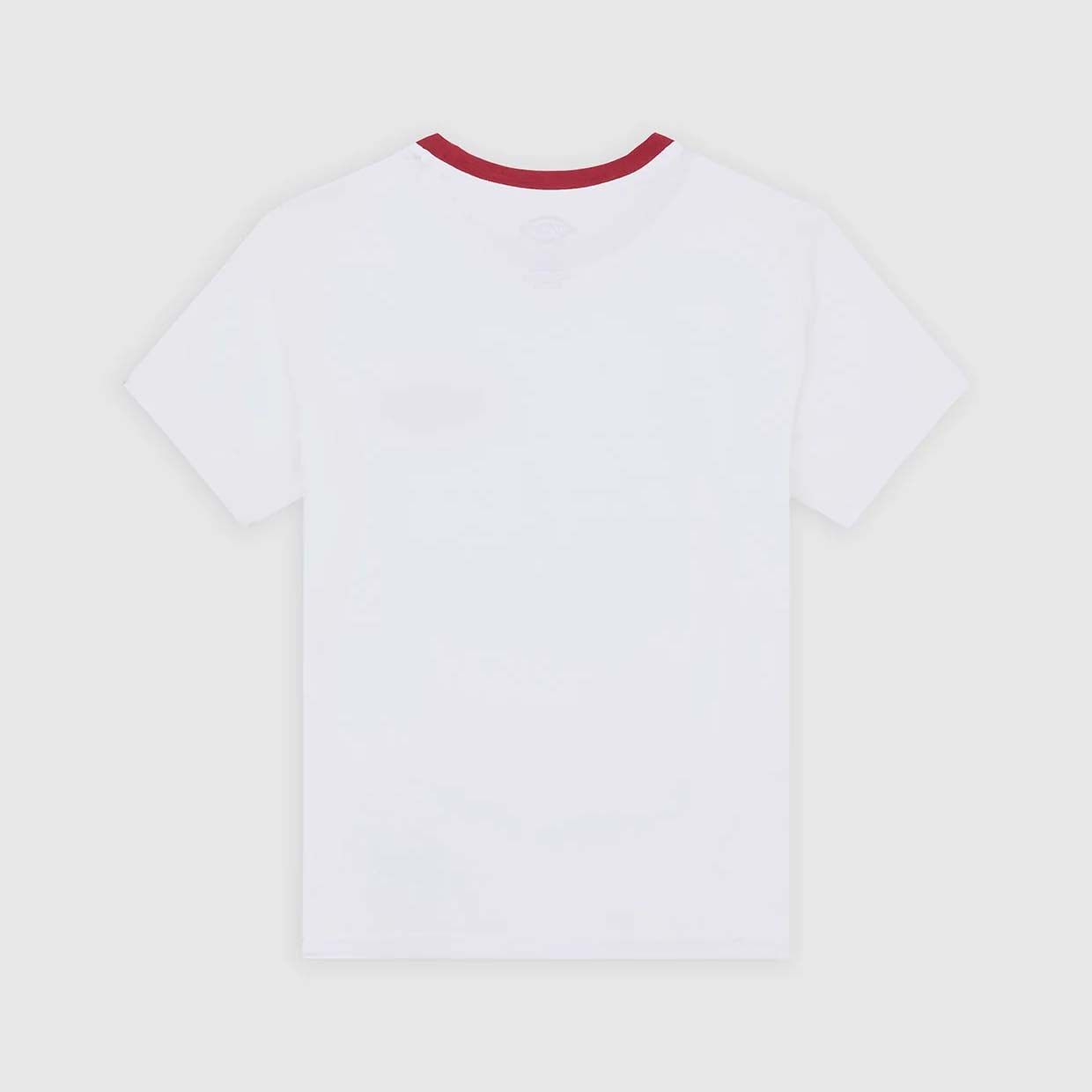 W' Plainville Ringer Tee - White